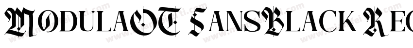 ModulaOT SansBlack Regular Version字体转换